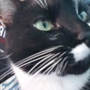 Meet your Posher, Melanie